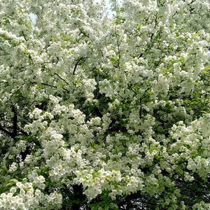 Meet your Posher, Este